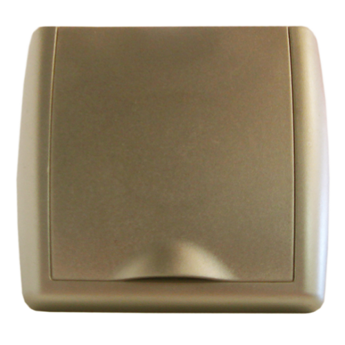 Tomada Especial Champanhe